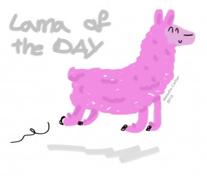 Lama of the day