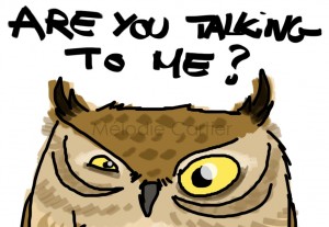 Suspicious Owl